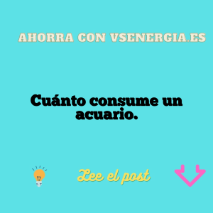 Cuánto consume un acuario.