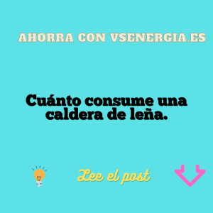 Cuánto consume una caldera de leña.