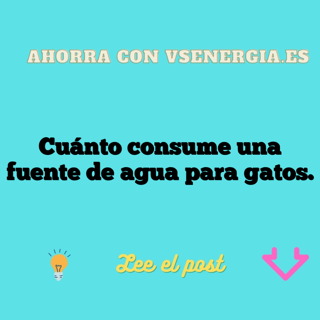 Cuánto consume una fuente de agua para gatos.